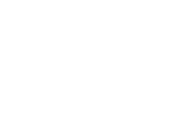 IECharge Logo